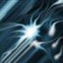 Avatar de yanfan001