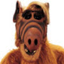 Avatar de pintxin
