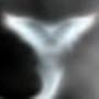 Avatar de elivan999