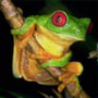 Avatar de Ebensn