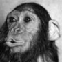 Avatar de sanfernando