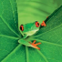Avatar de paconaranjo