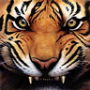 Avatar de aguilanegra
