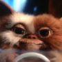 Avatar de Petit Indi