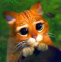 Avatar de XIMET70